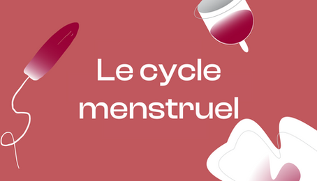 Le cycle menstruel 101: L’edition The Bachelor