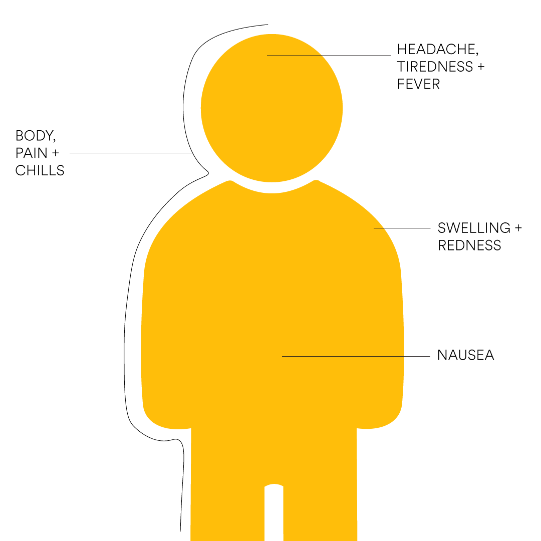 A diagram of the human body and the common side effects associated with the COVID-19 vaccines.