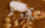 Gumbo
