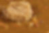 Etouffee