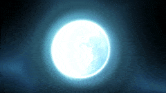AdorableFlimsyAmericanrobin-max-1mb.gif