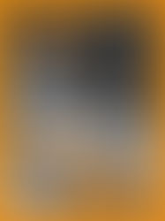 Foo Fighters: setlist do show em Manchester, Inglaterra - 27/02/2026