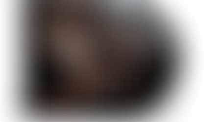 Led Zeppelin: "toda a história da banda em seus últimos anos está nesta canção"