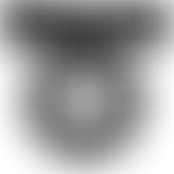 Soundgarden: guitarrista Mike McCready do Pearl Jam também confirmado na cerimônia do Rock and Roll Hall of Fame 2025