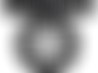 Soundgarden: guitarrista Mike McCready do Pearl Jam também confirmado na cerimônia do Rock and Roll Hall of Fame 2025