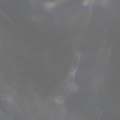 肉狗s.006.jpeg 灰底圖改成這張.jpg