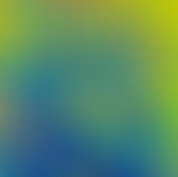 2021.12.24 Five a Day Christmas Edition