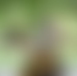 La Face Dansée des Buers | Villeurbanne (oct 2022)