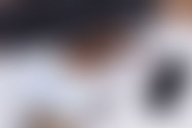 Why Choose Weblunder for Digital Marketing in 2026: Creative Strategies That Deliver Real Results