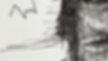Bunny_KV_WEB.png