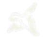 evcologo-01_edited.png