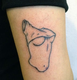 torso2