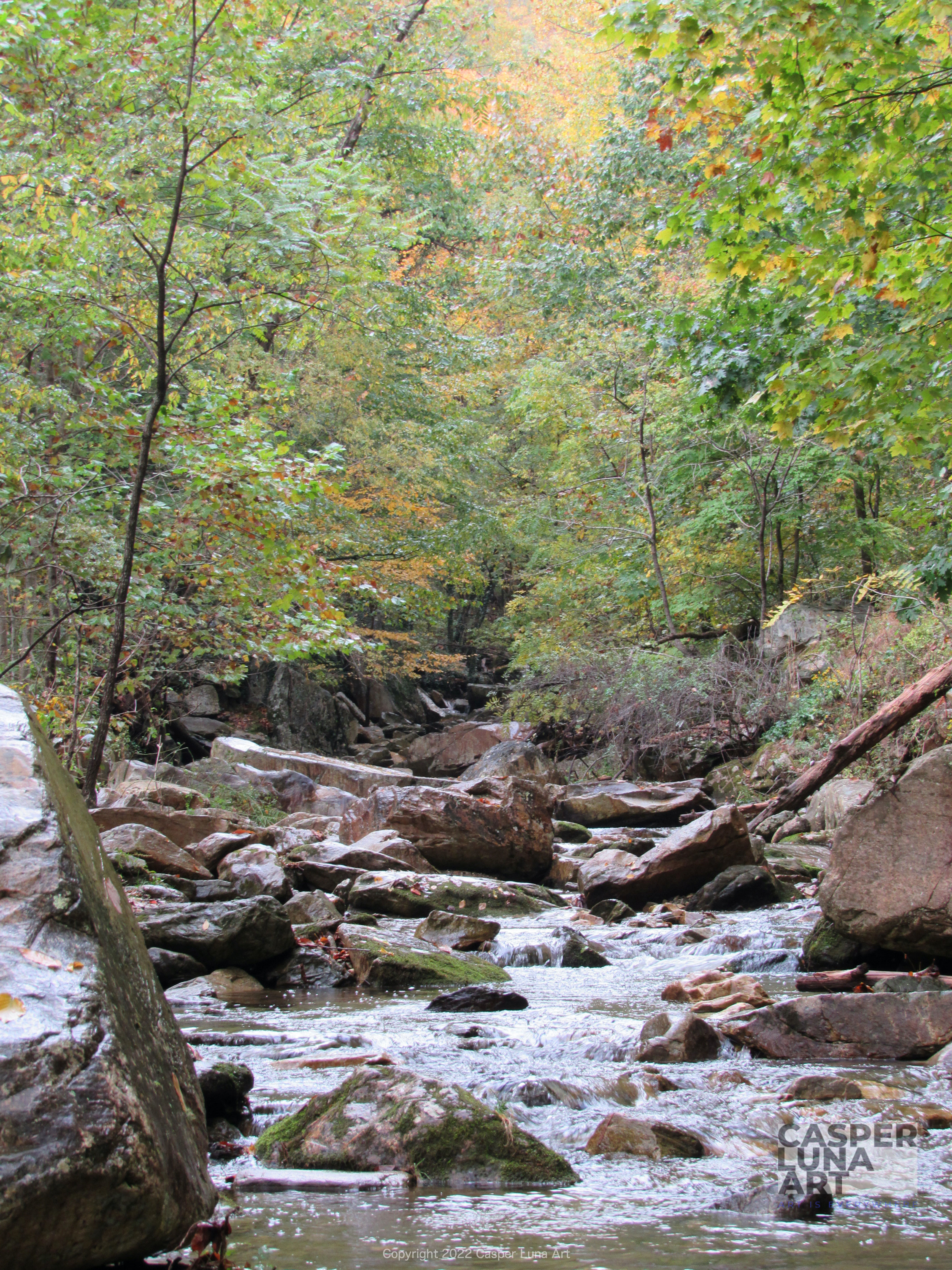 Mountain Streams in Linville 2