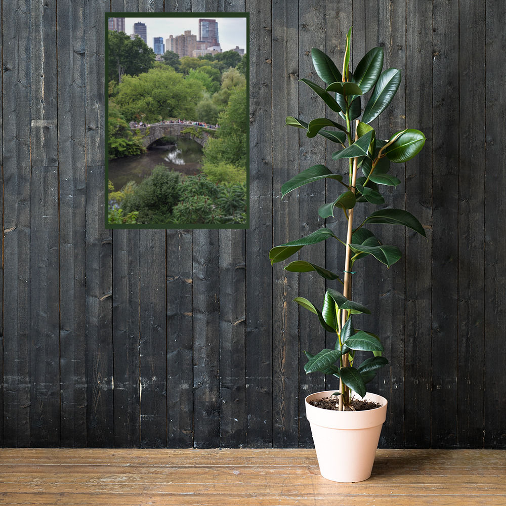 Central Park Bridge Poster