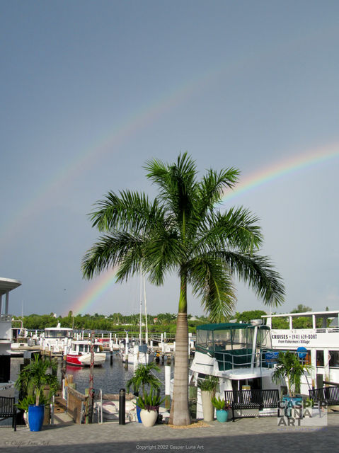 Southwest Florida-07 (copy).jpg