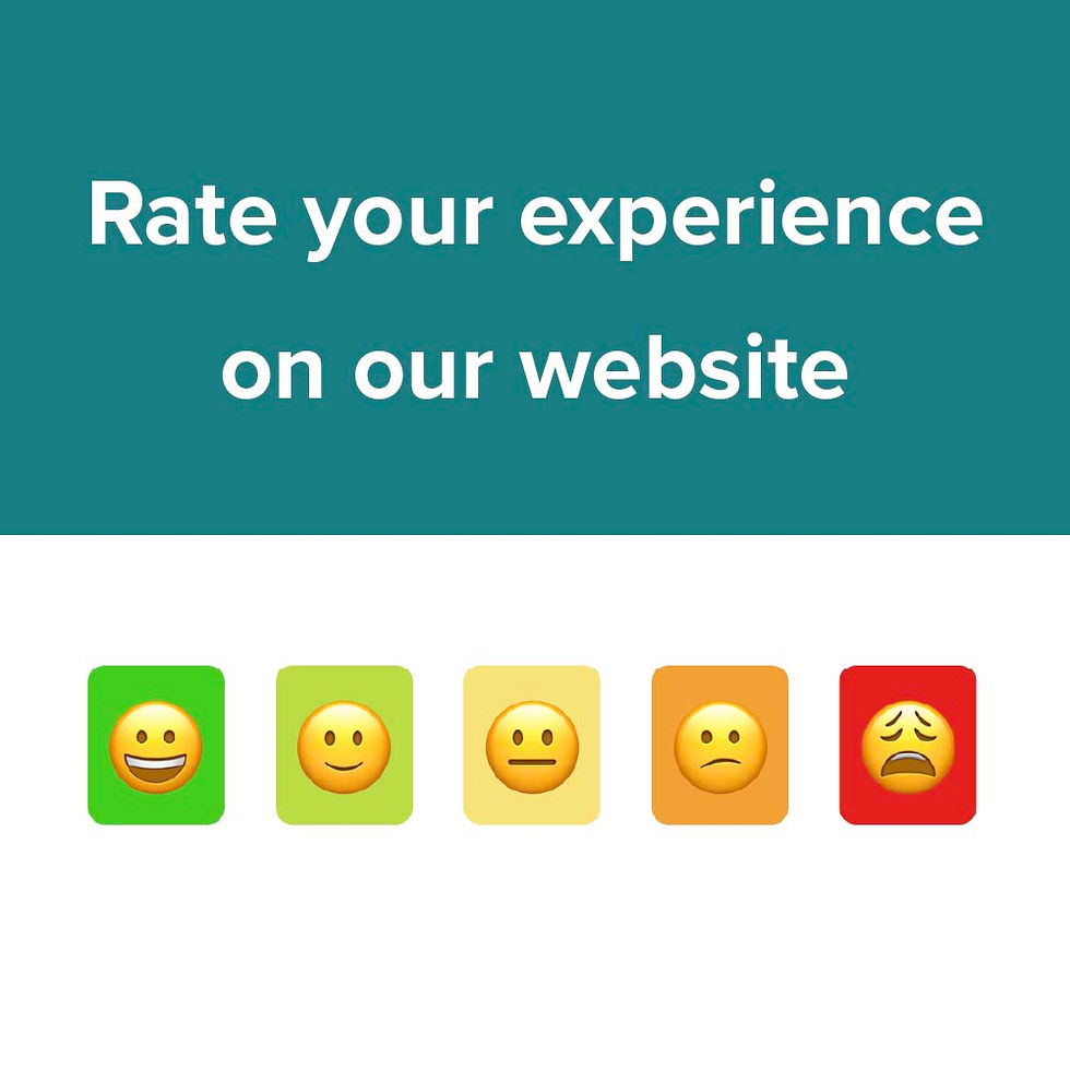 Customer Surveys