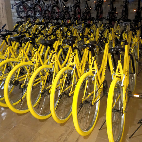Memoria 2021. La familia crece: un gran equipo y un montón de baobikes