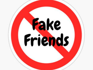 Fake Friends