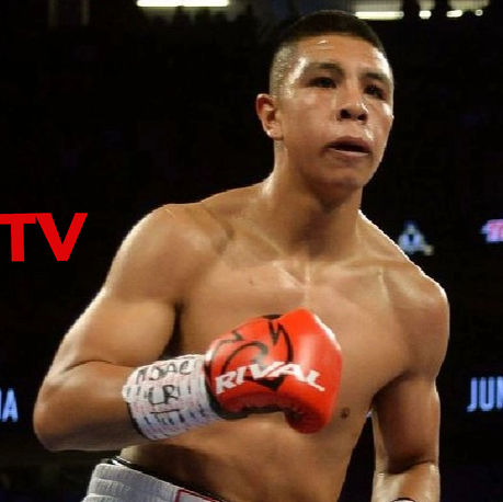 Unraveling the Unsung Heroes: Celebrating the Top Latin Boxers of the Decade