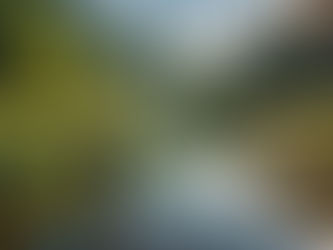 Uncover the Exciting World of FISHING.TV - Your New Adventure Awaits!