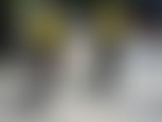 Prefeitura de Niterói divulga os resultados da Operação Verão no Carnaval