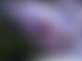 Motociata incentiva a deleção do Flamengo rumo ao tetra da Libertadores