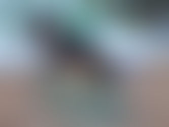 10ª Exposição do Cavalo Mangalarga Marchador movimenta a Feira do Produtor Rural de Teresópolis