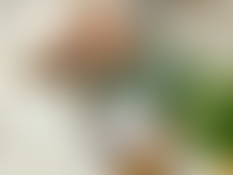 INSS moderniza prova de vida: aposentados não precisam mais ir ao banco