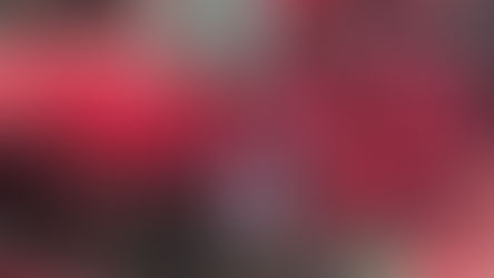 Malvadão assume a liderança do Brasileirão
