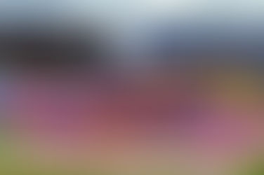 Ministério das Mulheres e PRF promovem campanha de enfrentamento à violência no Carnaval