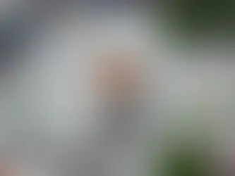Ferrugem, Tiee e Padre Fábio de Melo são atrações da Festa da Padroeira de Maricá