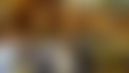 Páscoa 2026: alta nos preços dos chocolates acende alerta para direitos do consumidor