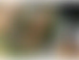 Temporal: Sobe para 23 o número de mortos na Zona da Mata de Minas