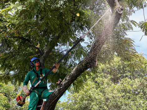 Choque de ordem sacode Niterói