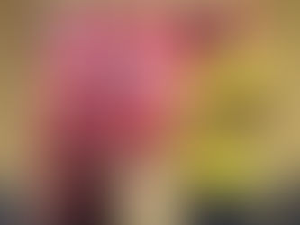 Artista de Parintins será o responsável pelos movimentos especiais das esculturas da União de Maricá
