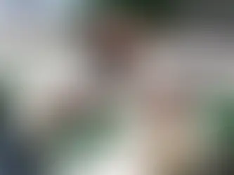 Corpo de Arlindo Cruz será velado na quadra do Império Serrano a partir das 18 horas