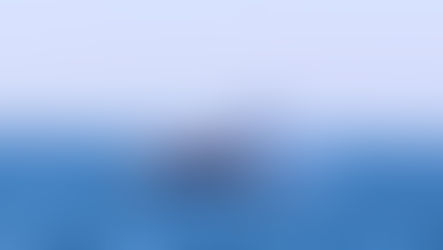 Niterói qualifica embarcações de observação de mamíferos aquáticos
