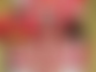 Beth Bejani é a nova coreógrafa do 1º casal da União de Maricá para o Carnaval 2026