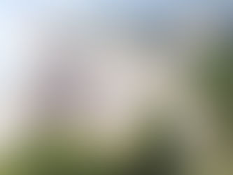 Operação Verão garante ordenamento nas praias de Niterói