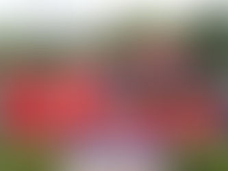 Revolução da revolução em Maricá: fim da agonia de Itaipuaçu e do Natal Iluminado