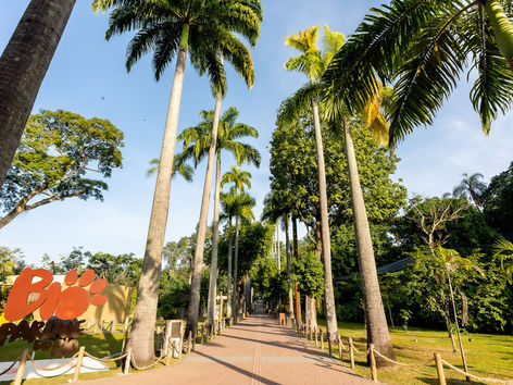 BioParque do Rio reabre com entrada gratuita para crianças e atividades educativas
