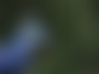 Feriado de 1º de maio: BioParque reúne lazer, natureza e experiências ao ar livre