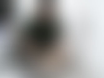 Beneficiários da Moeda Arariboia podem agendar consulta veterinária nesta quinta-feira em Niterói