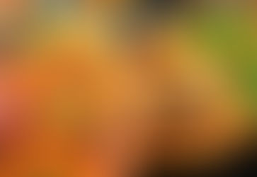 Festival do Mar leva gastronomia e música à orla de Piratininga