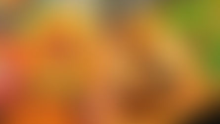 Festival do Mar leva gastronomia e música à orla de Piratininga