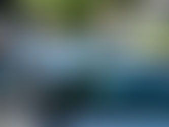 Carnaval 2025: Táxis de Niterói circulam com Bandeira 2 a partir de amanhã