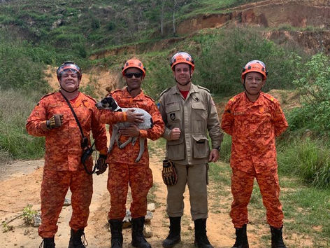 Bombeiros resgatam cachorro em montanha de Levy Gasparian