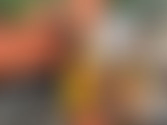 Projeto de Niterói evita descarte irregular de 1,2 tonelada de resíduos no Engenho do Mato