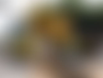 Avenida 22 de Maio: Obras avançam para fase de urbanização e instalação de ciclovia no Centro