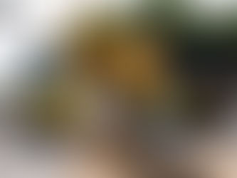 Avenida 22 de Maio: Obras avançam para fase de urbanização e instalação de ciclovia no Centro